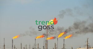 Nigeria Reportedly Flares 77bcf of Gas While Cooking Gas Prices Keep Climbing