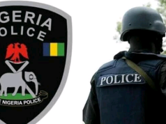 State Police: Senate Reveals Plan to Stop Governors’ Abuse of Power