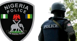State Police: Senate Reveals Plan to Stop Governors’ Abuse of Power