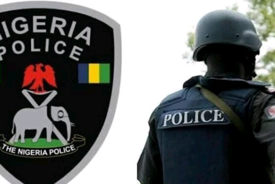 State Police: Senate Reveals Plan to Stop Governors’ Abuse of Power
