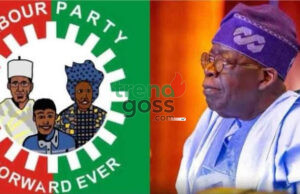 Labour Party Tells Tinubu: Fix Nigeria’s Security or Resign