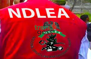 NDLEA Foils Six UK-Bound Cocaine Shipments, Arrests Six suspects