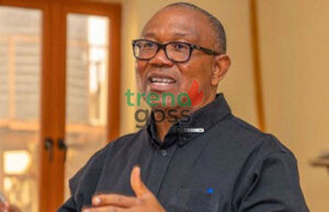 Peter Obi Slams FG Over Passport Fee Hike, Says Cost Now Higher Than Minimum Wage