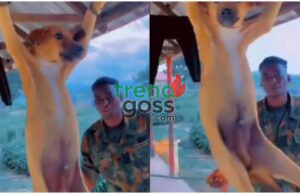 Shock as Viral Video Shows Nigerian Soldiers Brutally Punishing Dog Over “₦5,000 Meat”