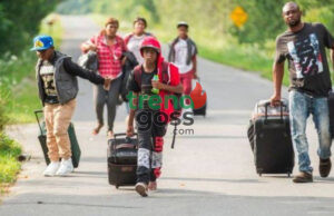 Nigeria Emerges as Top Source of Asylum Seekers in Ireland Despite Overall Decline