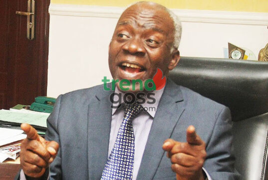 Falana Says Coup Suspects Must Face Civil Court, Not Military