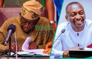 Why President Tinubu Fired Shettima’s Aide: Scams in the Creative Industry Exposed
