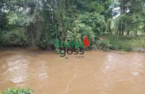 Terror in Ikorodu: Five Mutilated Bodies Found on Oreta Riverbank Linked to Cult Killings