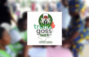 INEC Approves 14 Political Parties for Next Registration Phase