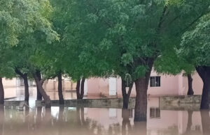 Historic Katsina Mosque Shut Down After 40 Years as Flood Destroys Building Foundation