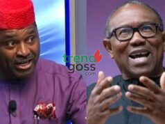 ‘You’re a Liar!’ Kenneth Okonkwo Launches Explosive Attack on Peter Obi Over Defamation Suit