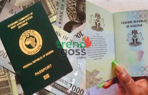 Nigeria’s Passport Fee Hike: A Burden Amidst Identification Crisis
