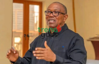 Deregistration: NDC Uploads Peter Obi’s Name to INEC Portal Despite Deregistration Ruling