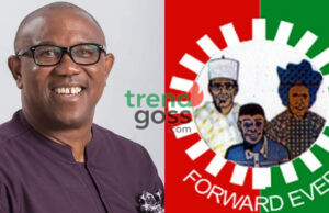 Shock in Labour Party: Spokesman Declares Peter Obi Won’t Get LP Ticket in 2027