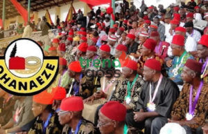 Ohanaeze Ndigbo Launches Initiative to Revive Endangered Igbo Language