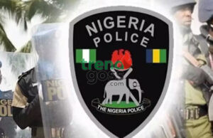 Ondo Police Arrest Hotel Worker for Alleged N11m Gold Chain Theft, Crack Down on Cultism and Armed Robbery