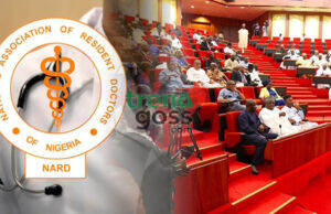 Senate Begs Striking Resident Doctors to Suspend Indefinite Strike, Promises Urgent Talks with Wike