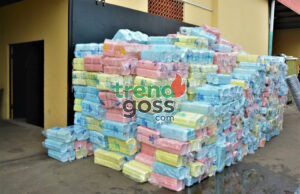 Lagos Cracks Down: ₦2.5 Million Worth of Styrofoam and Single-Use Plastics Seized in Major Enforcement Raid