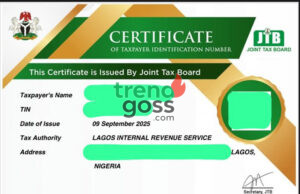 Nigerians Face 2026 Deadline: How to Get Your Tax ID Before It’s Too Late