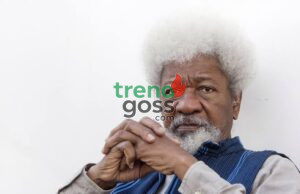 Wole Soyinka Rejects US Visa Reinterview Invitation Amid Trump Administration Controversy