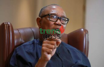 ‘Stop Dreaming!’ Presidency Fires Back at Peter Obi Over 2023 Election Claim