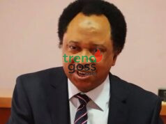 “Don’t Become Mercenaries”: Shehu Sani Issues Strong Warning to Nigerians Over Russia-Ukraine War