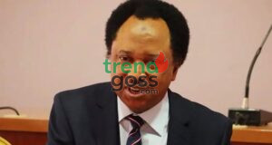 “Don’t Become Mercenaries”: Shehu Sani Issues Strong Warning to Nigerians Over Russia-Ukraine War