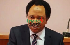 Shehu Sani to Tinubu: “Your Success or Failure Will Shape Nigeria’s Future”