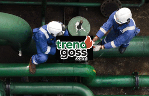 Seplat Energy Showcases Bold Growth, Major Acquisitions and $4bn Financing Track Record at Africa Energy Week 2025