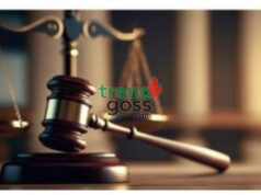 Alleged N33.2bn Fraud: EFCC Details ONSA Funds Flow To Private Accounts