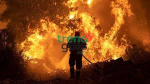 Fire Guts Alaba International Market, Traders Count Millions in Losses