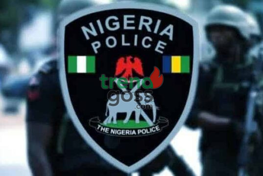 Osun Election: Police Replace Commissioner Days Before Governorship Poll