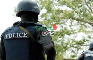 Niger Police Nab Ten in Crime Crackdown