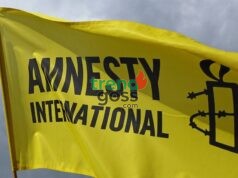 Amnesty Criticizes Nigeria Over Child Safety