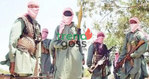 Borno Schools to Stay Open Despite Insecurity, Says NUT