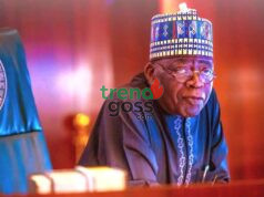 Tinubu’s Order to Withdraw 100,000 VIP Police Sparks Heated Reactions Nationwide