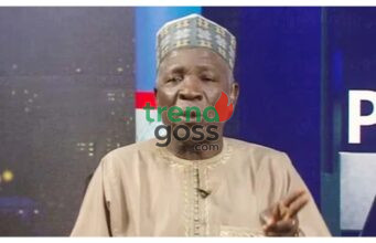 2027: ‘We Have Problems’ – Buba Galadima Speaks on Obi-Kwankwaso Alliance