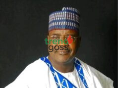 Zamfara Politician Killed by Suspected Gunmen