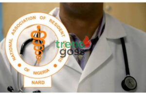 NARD Dismisses Government’s Progress Claims Amid Strike