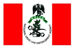 NDLEA Destroys 25 Tonnes of Drugs in Kebbi