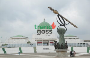 South East Protests NASS Plan for New States