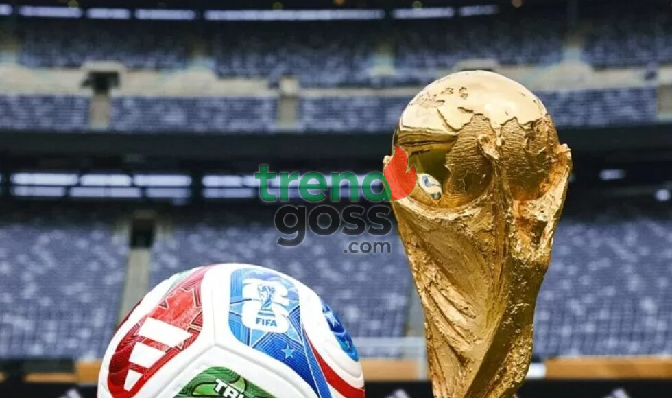 Screenshot_20251003-055647