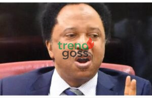 Tinubu’s VIP Police Withdrawal Faces Doubts — Shehu Sani Reacts