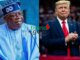 BREAKING: Trump Praises Tinubu’s Fight Against Terrorism, Commends Protection of Christians