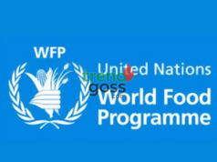 Northern Nigeria Faces Famine-Like Crisis Amid Rising Jihadist Attacks – UN