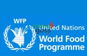 Northern Nigeria Faces Famine-Like Crisis Amid Rising Jihadist Attacks – UN
