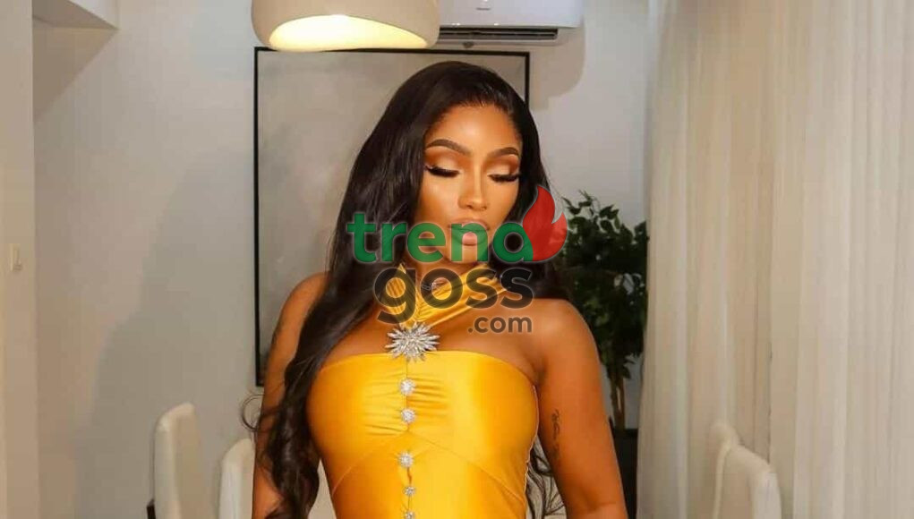 WhatsApp-Image-2025-11-02-at-11.23.23-PM