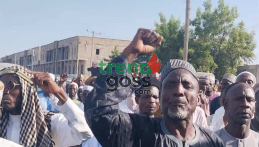 WhatsApp-Image-2025-11-08-at-5.31.25-PM-1