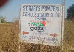 50 Abducted Pupils Escape Bandits’ Den in Niger as 253 Still Held — CAN Confirms