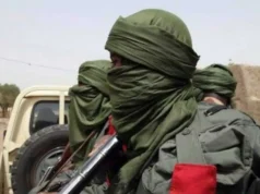 Terrorists Abduct 215 Students in Niger State